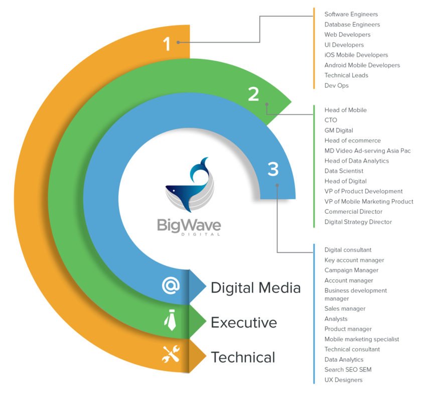 Jobs We Cover Big Wave Digital Technology Recruitment