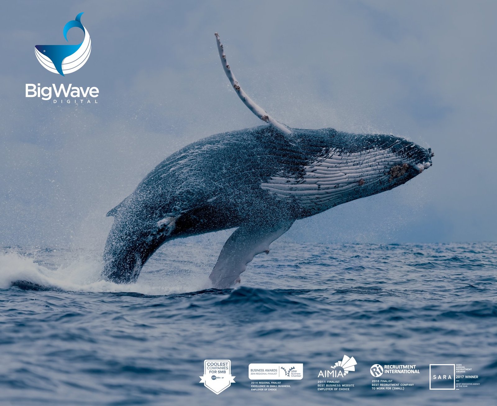 digital recruitment agency sydney