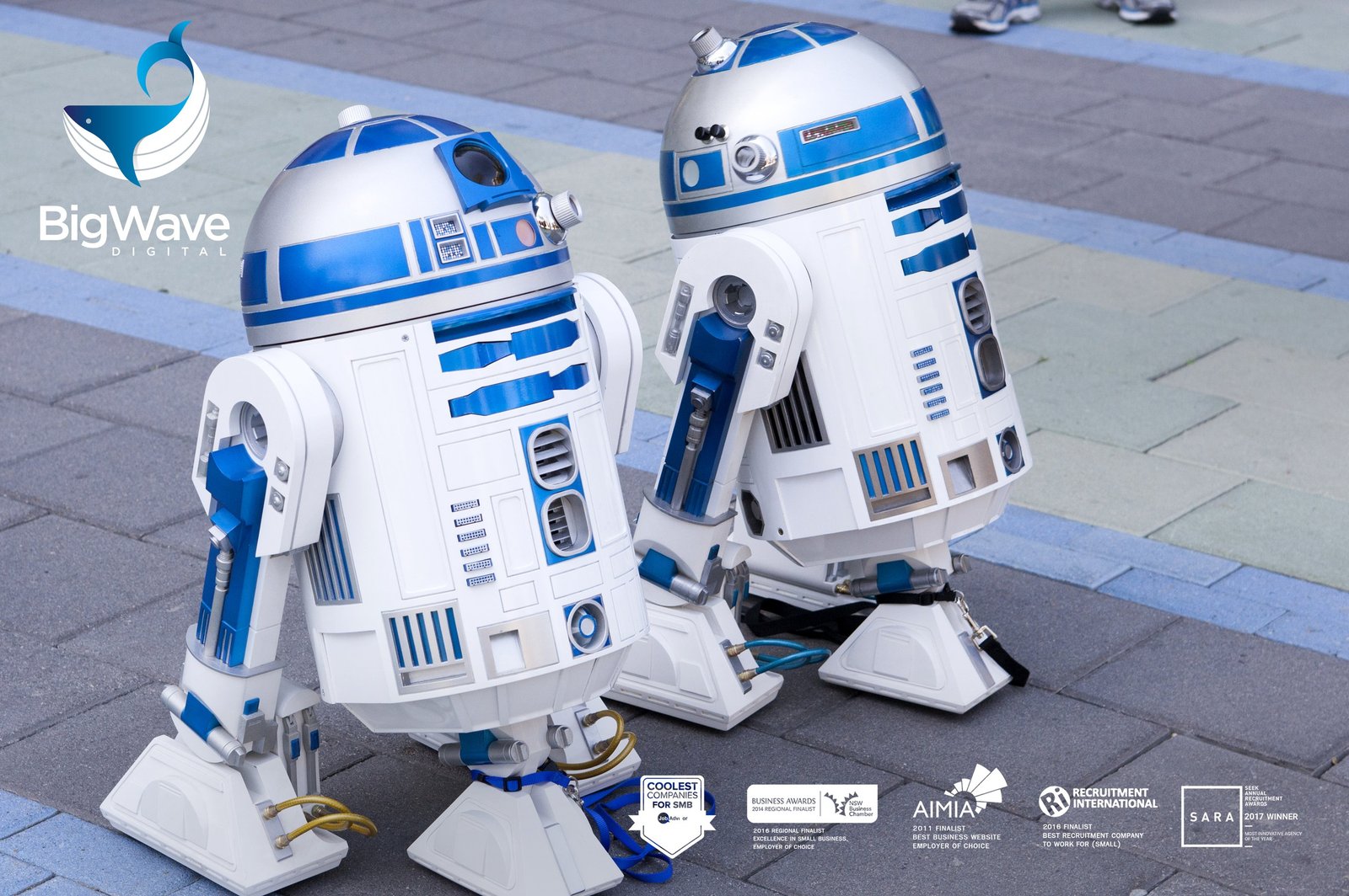 digital recruitment agency sydney